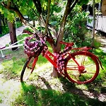 Tahtavilla * Kemer