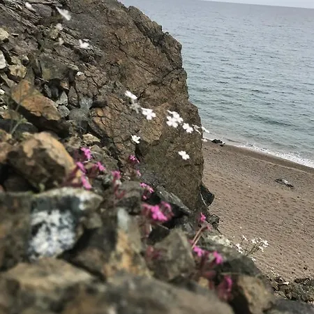 Tahtavilla * كمر