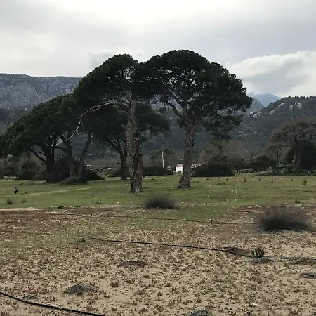 بيت ضيافة Tahtavilla