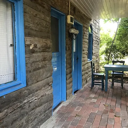 Tahtavilla *