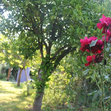 Tahtavilla بيت ضيافة