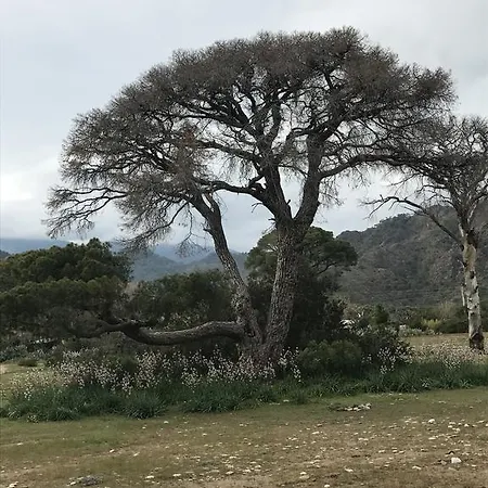 Pensjonat Tahtavilla Kemer