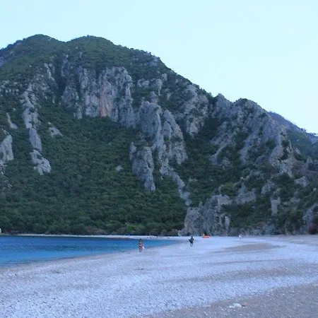 Tahtavilla