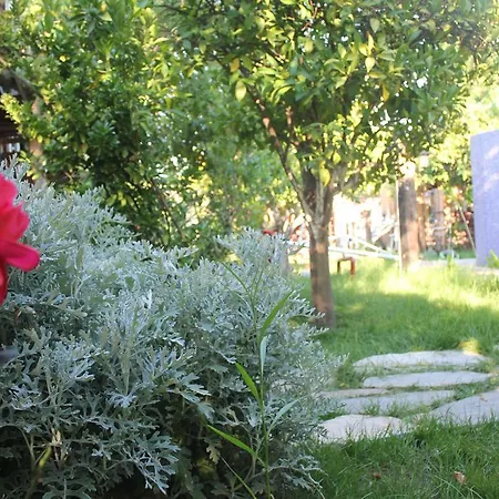 Tahtavilla * Kemer