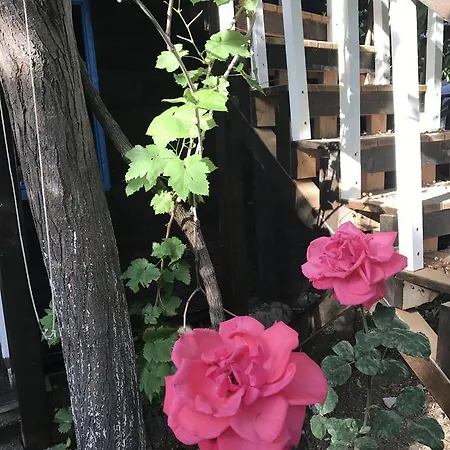 Pensjonat Tahtavilla Kemer