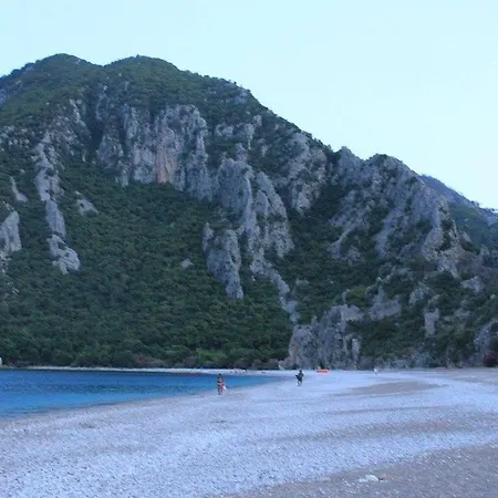 Tahtavilla