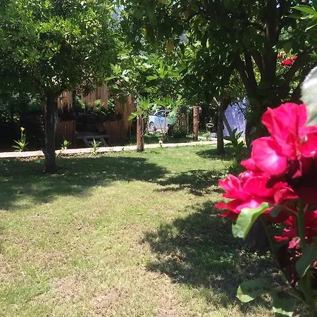 Tahtavilla ゲストハウス