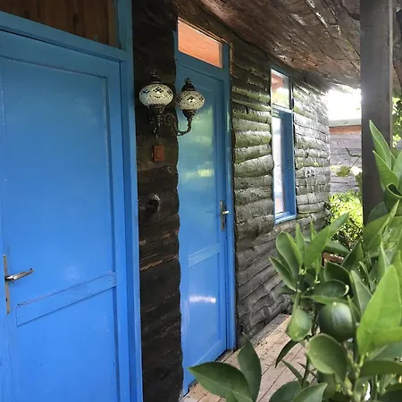 ゲストハウス Tahtavilla ケメル