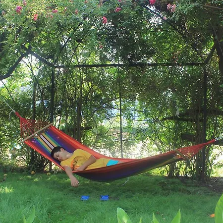 Tahtavilla ケメル