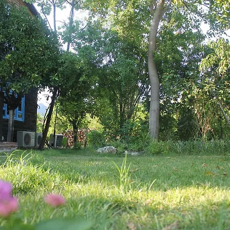 ゲストハウス Tahtavilla ケメル