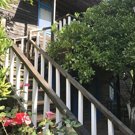 Tahtavilla * ケメル