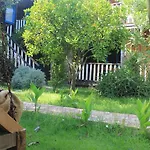 Tahtavilla *