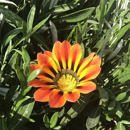 Tahtavilla Vendégház