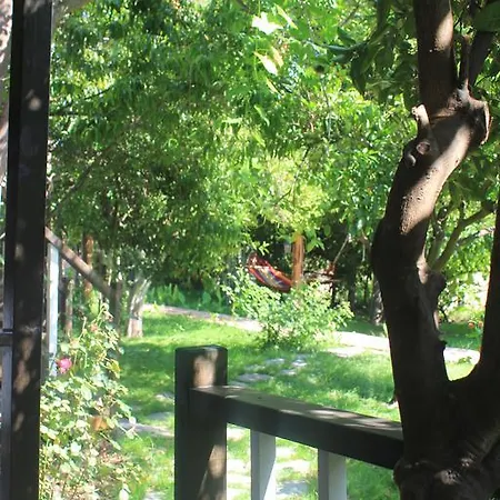 Tahtavilla קמר