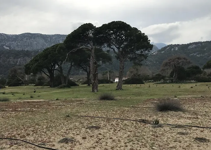 בית הארחה Tahtavilla