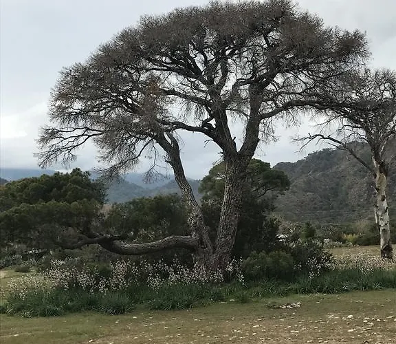 בית הארחה Tahtavilla קמר