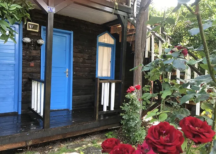 Tahtavilla * קמר