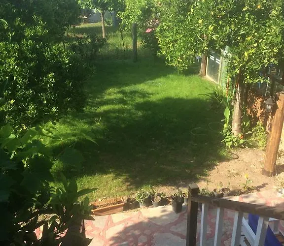 Tahtavilla