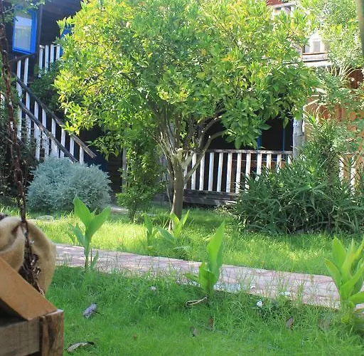 Tahtavilla *