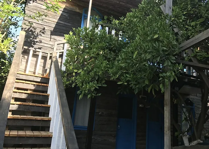 Tahtavilla ケメル