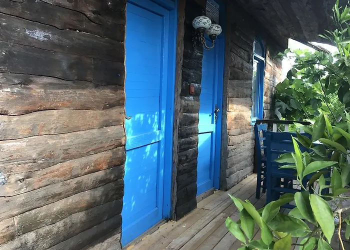 Tahtavilla *