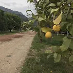 Tahtavilla