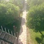 Tahtavilla *
